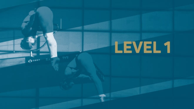 Diving Virtual Talent Search - Level 1