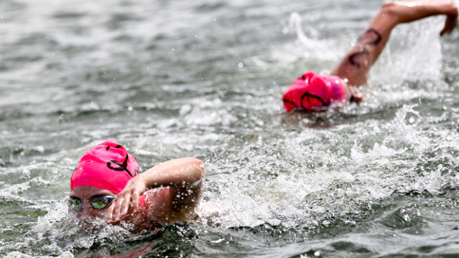 About open water swimming races