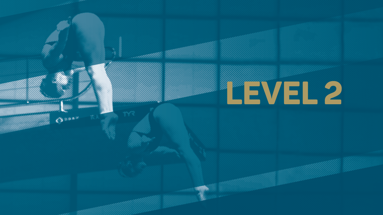 Diving Virtual Talent Search - Level 2